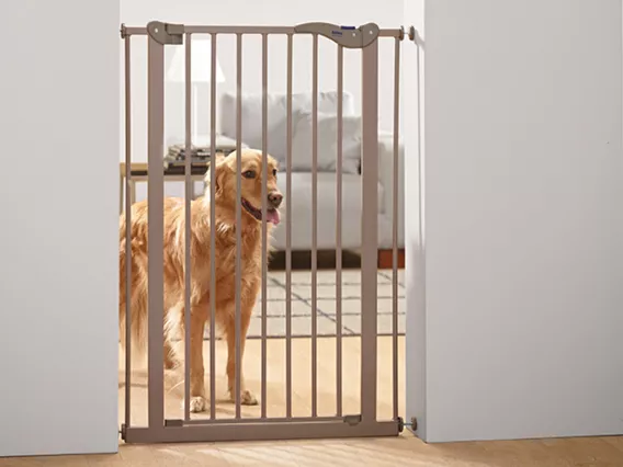 Brite doggy dog safety gate best sale